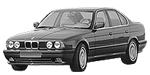 BMW E34 P2403 Fault Code